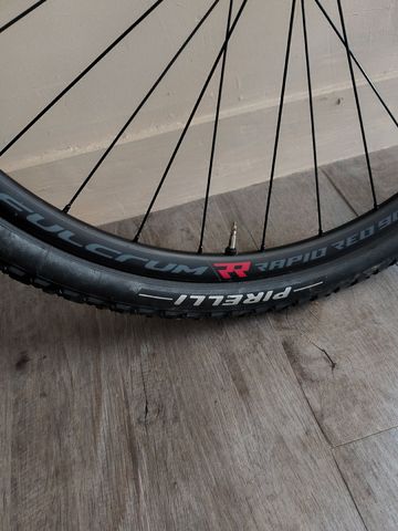 Brugt Fulcrum Rapid Red 900 2025 bike — billede 2 af 4