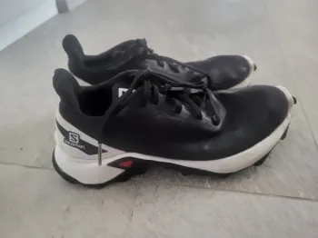 Used Salomon Alpha Cross Running Shoes