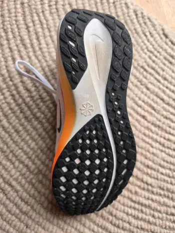 Used Pegasus 41 bike — image 5 of 5