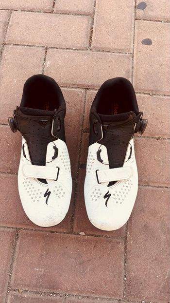 Specialized Road Cycling Shoes Cycling Shoes usato