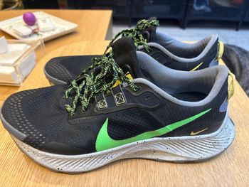 Nike Pegasus Trail 3 Running Shoes de segunda mano