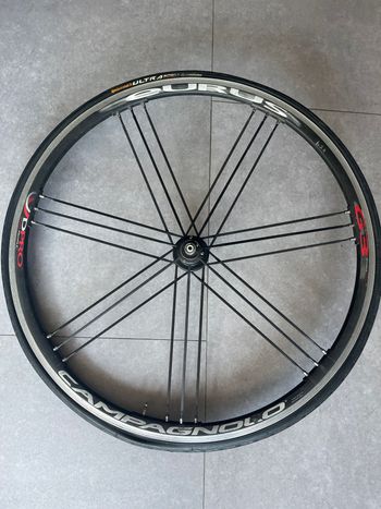 Gebrauchtes Campagnolo Eurus Rear Wheel Wheels