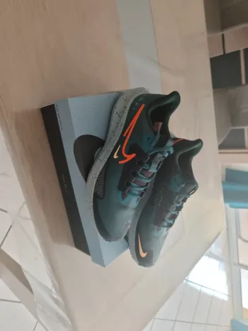 Brugt Pegasus Nike Running Shoes