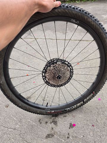 Used OQUO mp30 team 2025 bike — image 6 of 8