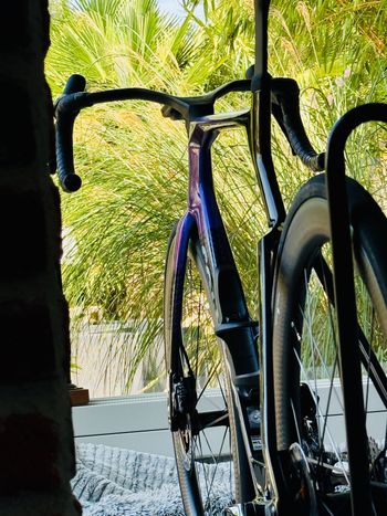 Used Scope Artech 4 2026 bike — image 2 of 5