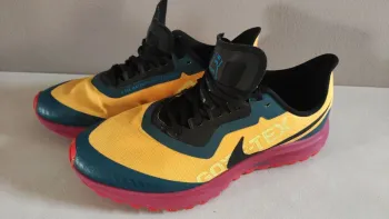 Used Pegasus 36 Trail Running Shoes