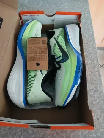 Käytetty Pegasus Air Zoom 42 Running Shoes