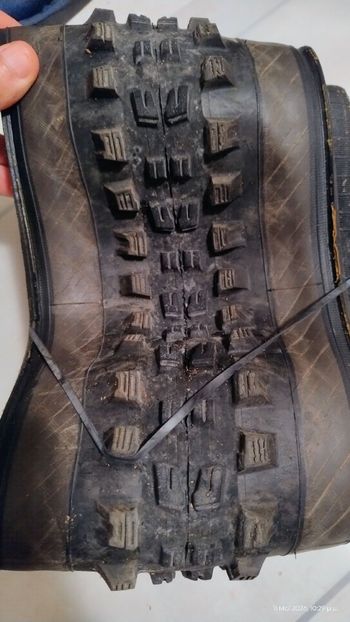 Used Vittoria Mazza 29x2.4 Trail Graphene 2.0 2025 Tyres & Tubes