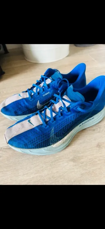 Pegasus Plus Running Shoes d'occasion
