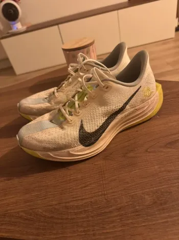 Used Pegasus Plus Running Shoes