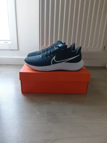 Used Pegasus 39 Running Shoes