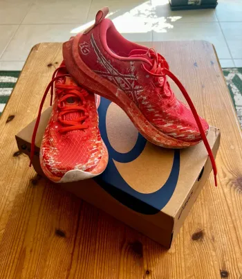 Used Asics NOOSA TRI 16 2025 Running Shoes