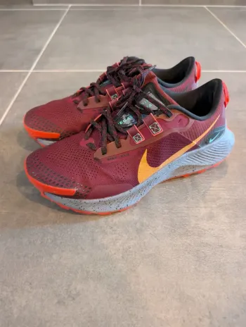 Used Pegasus Trail 3 2021 Running Shoes