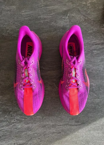 Used Pegasus Plus Running Shoes