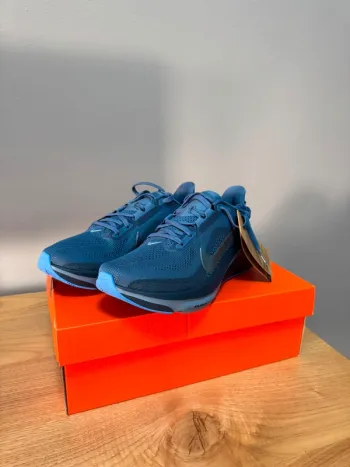 Used Pegasus Air Zoom 42 Running Shoes