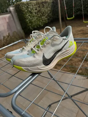 Used Pegasus Plus Running Shoes