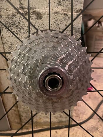 Used Campagnolo Chorus 12v Cassette Drivetrain & Pedals