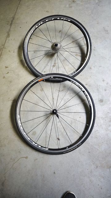 Brugt Fulcrum racing Expert 2019 Wheels