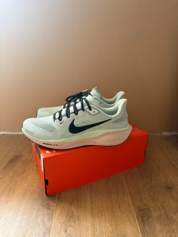Used Pegasus 41 Running Shoes