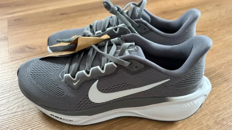 Used Pegasus Zoom 41 bike — image 3 of 5