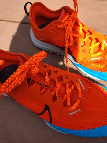 Used Nike Terra Kiger 8 Running Shoes