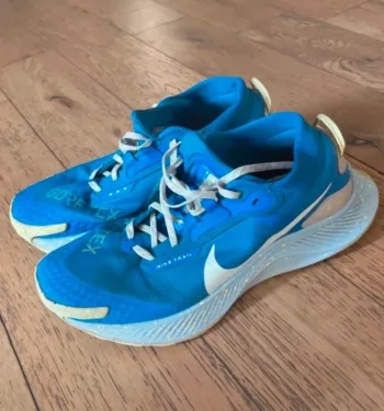 Used Pegasus Trail 3 Gore-Tex Running Shoes