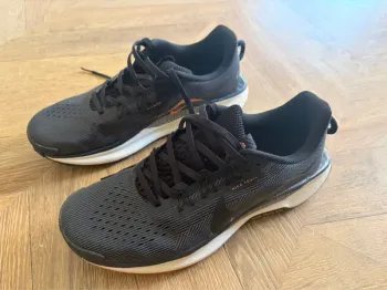 Pegasus Trail 5 Running Shoes usato