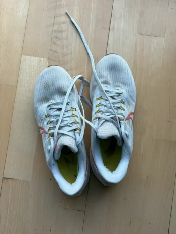 Gebrauchtes Pegasus Air Zoom 40 Running Shoes
