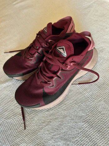 Pegasus 2 bike d'occasion — image 3 sur 7