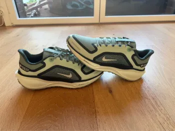 Used Pegasus Air Zoom 41 bike — image 3 of 6