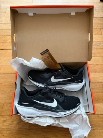 Used Pegasus Air 41 Running Shoes