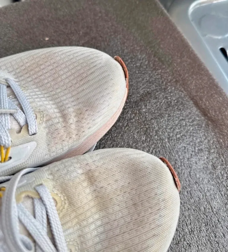 Used Pegasus 39 bike — image 4 of 6