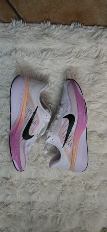Used Pegasus 42 Running Shoes