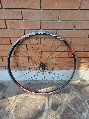 Brugt Fulcrum Racing 7 Rear Wheel Wheels