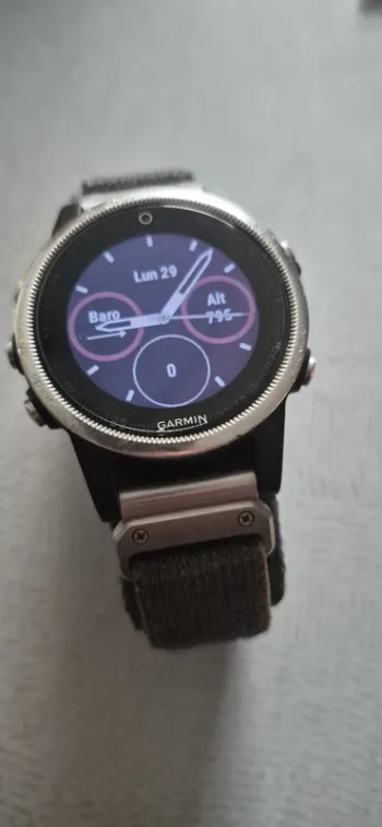 Premium Fenix 5S Electronics usato