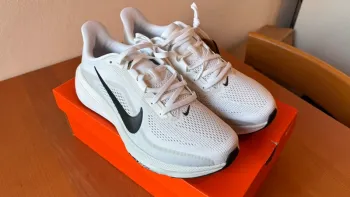 Used Pegasus 42 Running Shoes