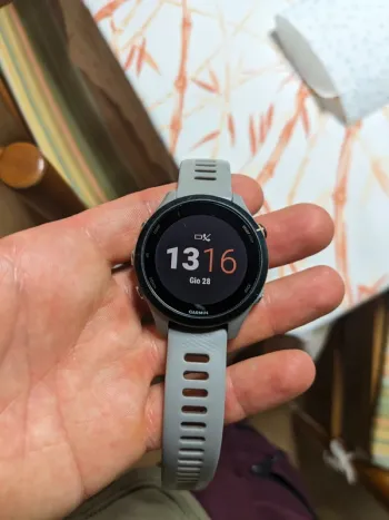 Použité Garmin Forerunner 255s Electronics