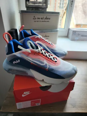 Brugt Nike Air Max 2090 Running Shoes