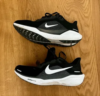 Used Pegasus 41 Running Shoes
