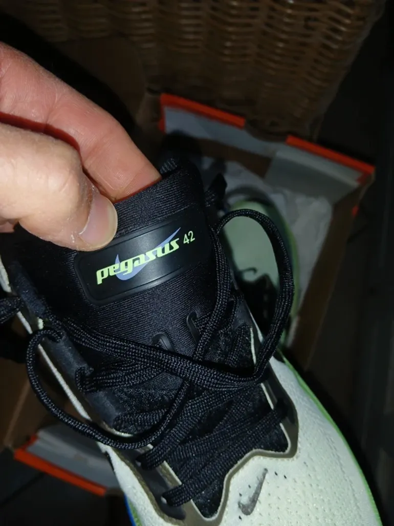 Used Pegasus Air Zoom 42 bike — image 5 of 14