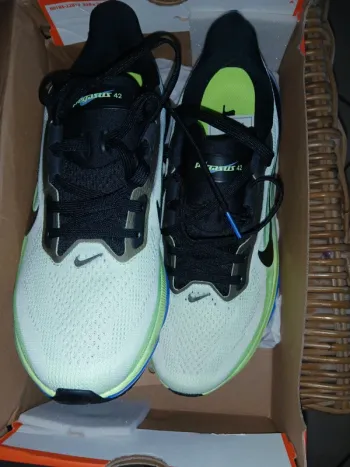 Used Pegasus Air Zoom 42 bike — image 7 of 14