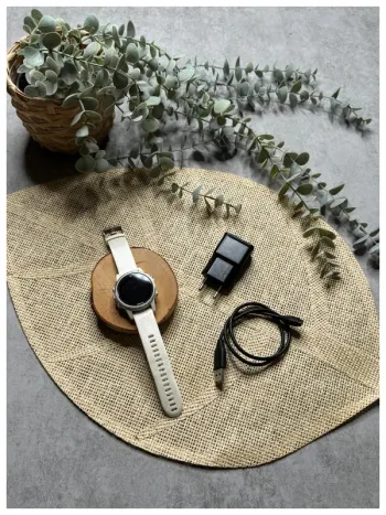 Garmin Fénix 5S Electronics d'occasion