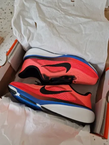 Used Pegasus 42 Running Shoes