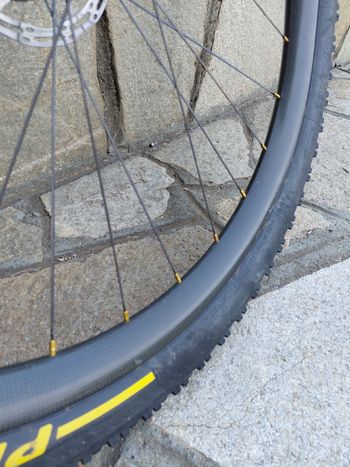 Gebrauchtes Bh MTB Rear Wheel 2023 bike — Bild 6 von 6