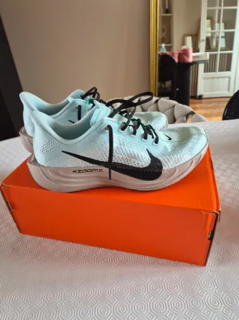 Used Pegasus Plus Running Shoes