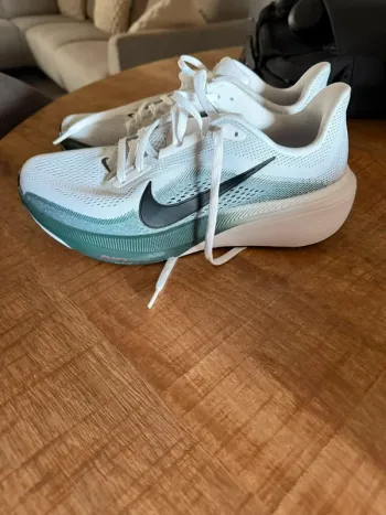 Tweedehands Pegasus 42 Running Shoes