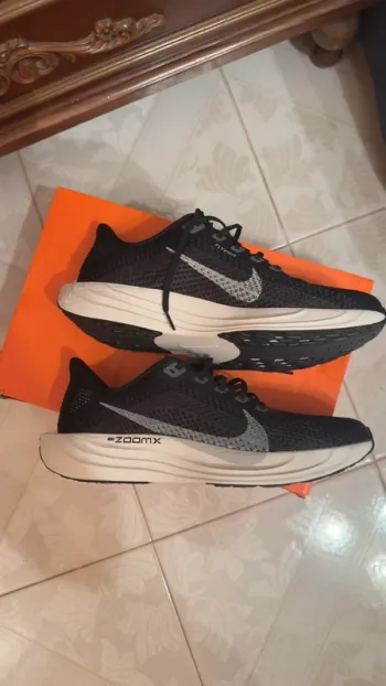 Used Pegasus Plus Running Shoes