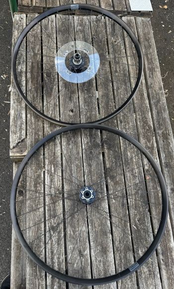 Použité Focus Rodi Wheels 2024 Wheels