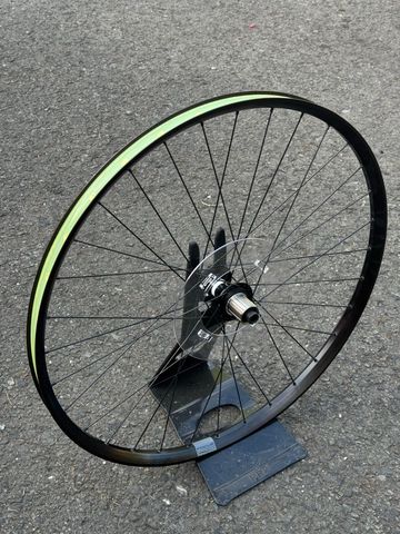 Used Focus Rodi Wheels 2024 bike — image 5 of 8