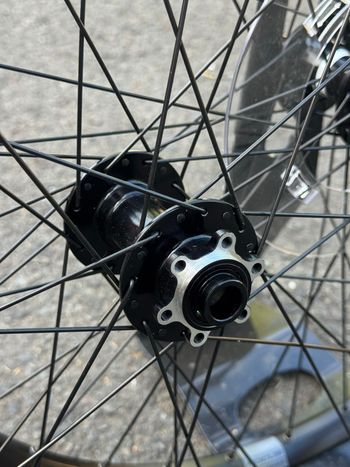 Used Focus Rodi Wheels 2024 bike — image 3 of 8